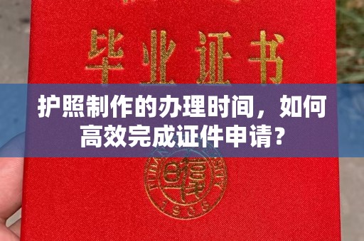 河口护照制作的办理时间，如何高效完成证件申请？