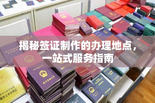 河口揭秘签证制作的办理地点，一站式服务指南